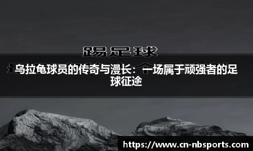 牛宝体育平台